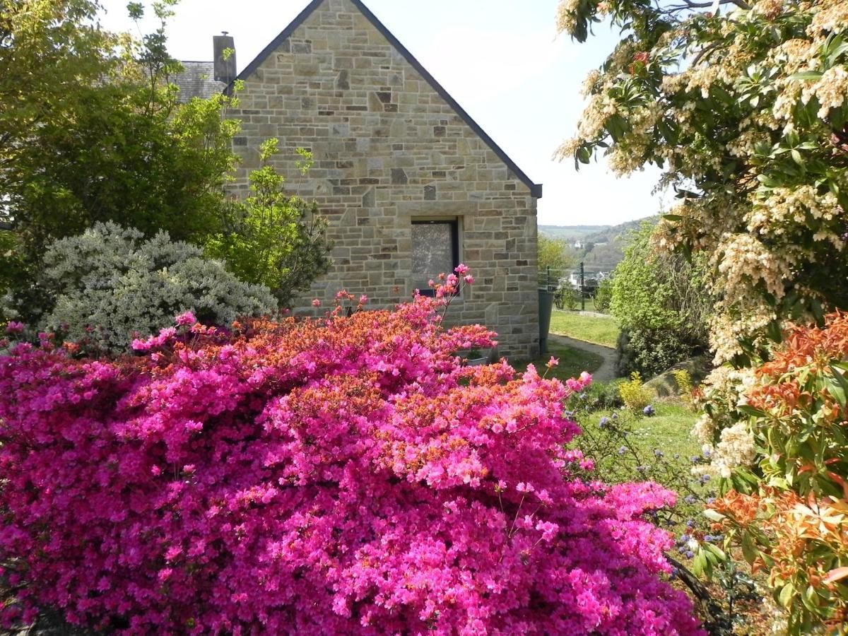 Villa D'Ys Châteaulin Extérieur photo